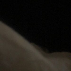 Meet your Posher, Jamorris